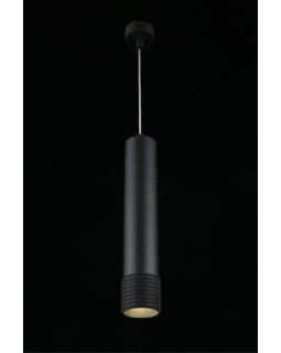 Подвесной светильник APLOYT APL.012.16.10-foto6