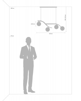Подвесная люстра Freya FR8014PL-04BS-foto6