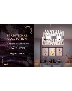 Подвесная люстра Ambrella Light TR5308-foto2