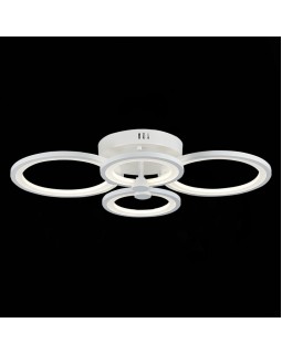 Накладной светильник Evoluce SLE900002-04-foto2