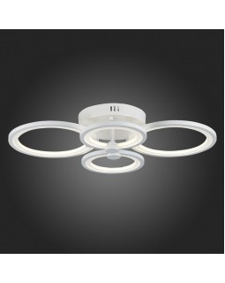 Накладной светильник Evoluce SLE900002-04-foto3