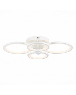 Накладной светильник Evoluce SLE900002-04-foto6