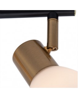 Спот ARTE Lamp A3117PL-2BK-foto3