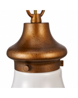 Подвесной светильник Favourite 2936-1P-foto4