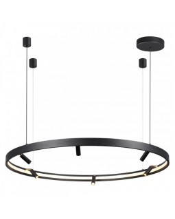 Подвесной светильник Odeon Light 4317/93L-foto5