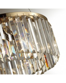 Подвесная люстра Odeon Light 4987/6-foto5
