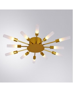 Накладная люстра ARTE Lamp A1276PL-12GO-foto2