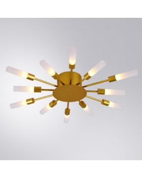 Накладная люстра ARTE Lamp A1276PL-12GO-foto2