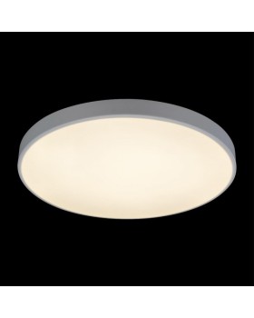 Накладной светильник LOFT IT 10002/48 White-foto4