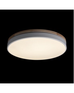 Накладной светильник LOFT IT 10001/36 White-foto2