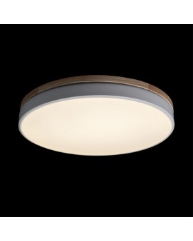 Накладной светильник LOFT IT 10001/36 White-foto2