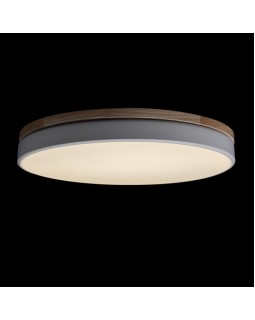 Накладной светильник LOFT IT 10001/36 White-foto4