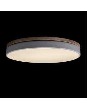 Накладной светильник LOFT IT 10001/36 White-foto4