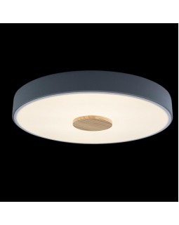 Накладной светильник LOFT IT 10003/24 Grey-foto2