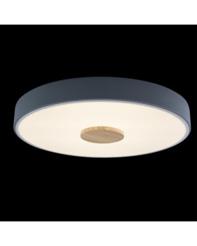 Накладной светильник LOFT IT 10003/24 Grey-foto2