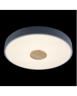 Накладной светильник LOFT IT 10003/24 Grey-foto4