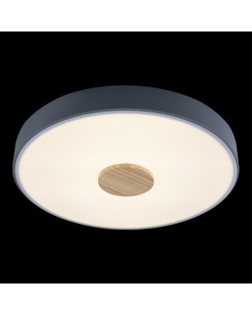 Накладной светильник LOFT IT 10003/24 Grey-foto4