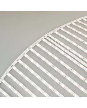 Лента Arlight 027120(2)-foto2