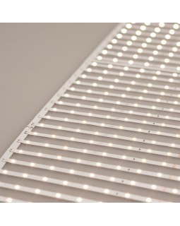 Лента Arlight 027120(2)-foto3