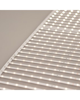 Лента Arlight 027120(2)-foto3