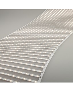 Лента Arlight 027120(2)-foto4