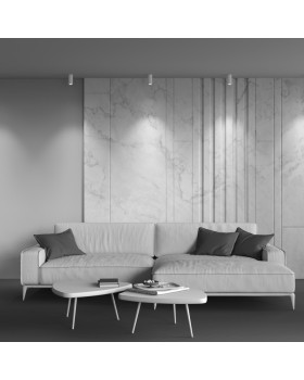 Накладной светильник Maytoni Technical C056CL-L12W3K-W-W-foto3