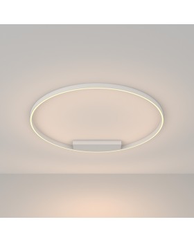 Накладной светильник Maytoni MOD058CL-L65W3K-foto2