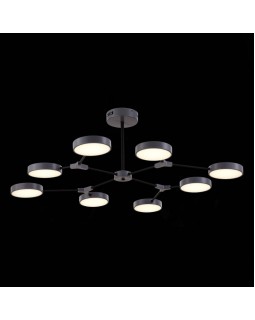 Люстра на штанге Evoluce SLE6003-702-08-foto6