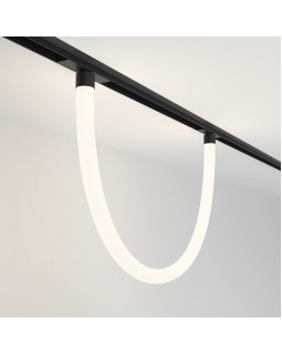 Светильник на шине Maytoni Technical TR101-2-20W4K-B-foto2