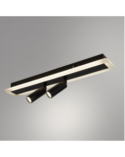 Накладной светильник ARTE Lamp A2607PL-22BK-foto2