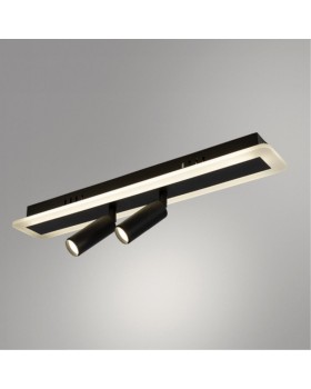 Накладной светильник ARTE Lamp A2607PL-22BK-foto2