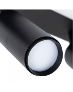 Накладной светильник ARTE Lamp A2607PL-22BK-foto4