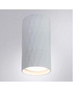 Накладной светильник ARTE Lamp A5557PL-1WH-foto2