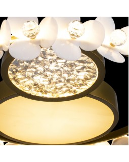 Детский светильник LOFT IT 10174-foto5