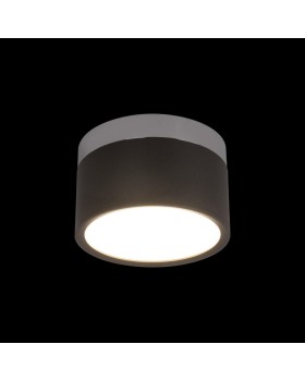 Накладной светильник LOFT IT 10179/12 Black-foto2