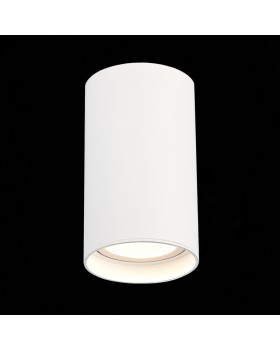Влагозащищенный светильник ST-Luce ST157.532.20-foto3