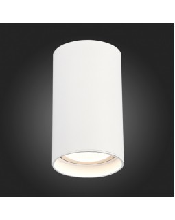 Влагозащищенный светильник ST-Luce ST157.532.20-foto4