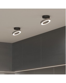 Накладной светильник Elektrostandard Spila серебро 12W 4200К (25105/LED)-foto2