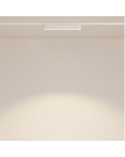 Светильник на шине Maytoni Technical TR082-1-12W3K-M-W-foto4