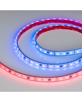 Лента Arlight 039175-foto3