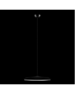 Подвесной светильник LOFT IT 10119 Black-foto2