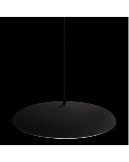 Подвесной светильник LOFT IT 10119 Black-foto4