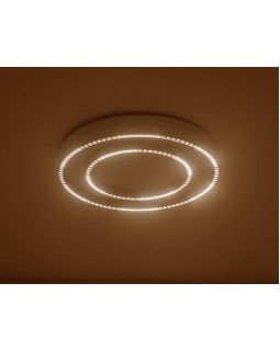 Накладной светильник Ambrella Light FL5821-foto4