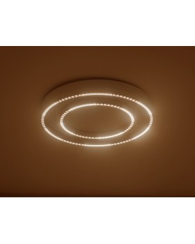 Накладной светильник Ambrella Light FL5821-foto4