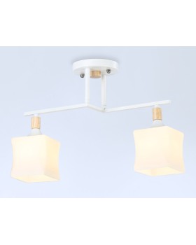 Накладной светильник Ambrella Light TR9484-foto2