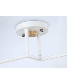 Накладной светильник Ambrella Light TR9484-foto4