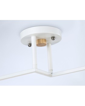 Накладной светильник Ambrella Light TR9484-foto4