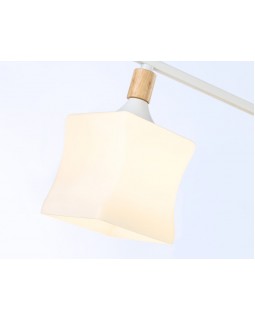 Накладной светильник Ambrella Light TR9484-foto5