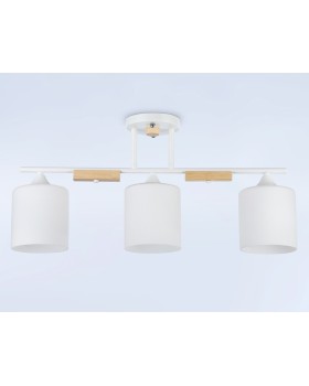Накладной светильник Ambrella Light TR9546-foto3