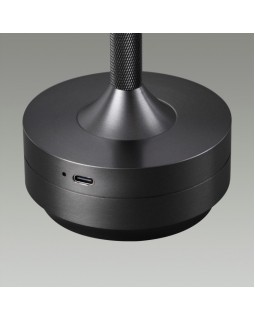 Настольная лампа Odeon Light 5034/6TL-foto2
